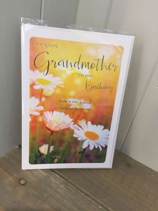 To a special Grandmother on your Birthday Card (5504605257888)